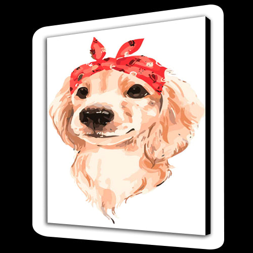 Bel cane (6957558169782)