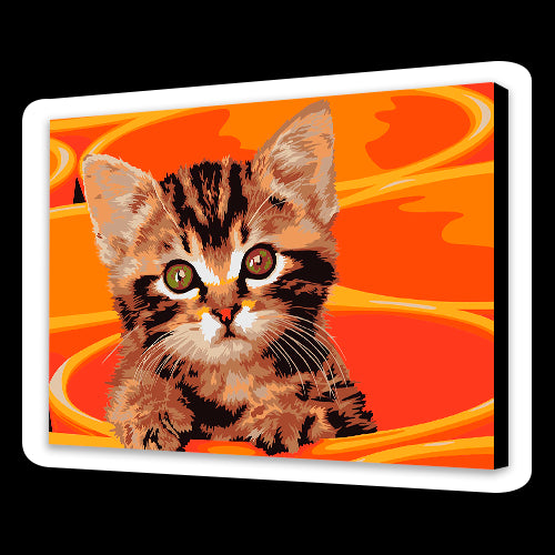 Gattino carino (6957472448694)