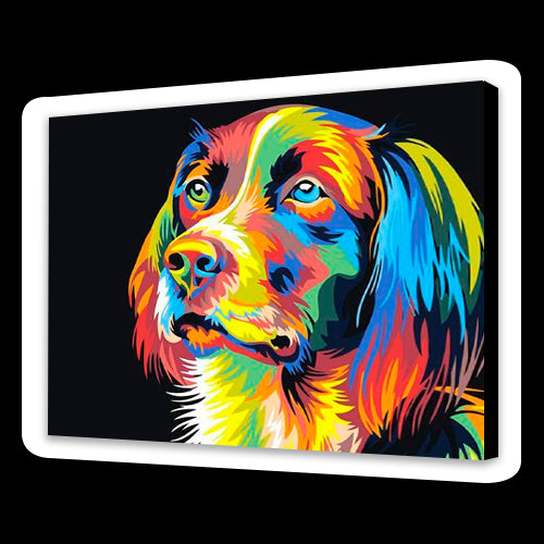 Cane colorato (6957579894966)
