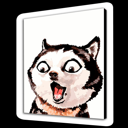 Husky sorpreso (6957468319926)