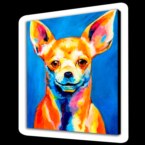 Cane felice (6957467599030)