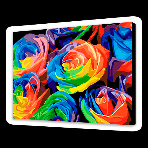 Rose colorate (6957503545526)