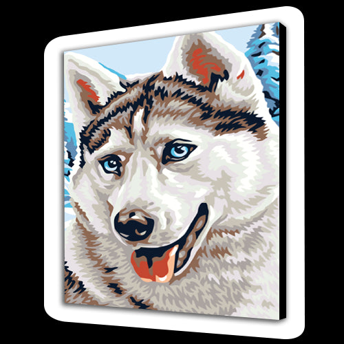 Husky (6957550993590)