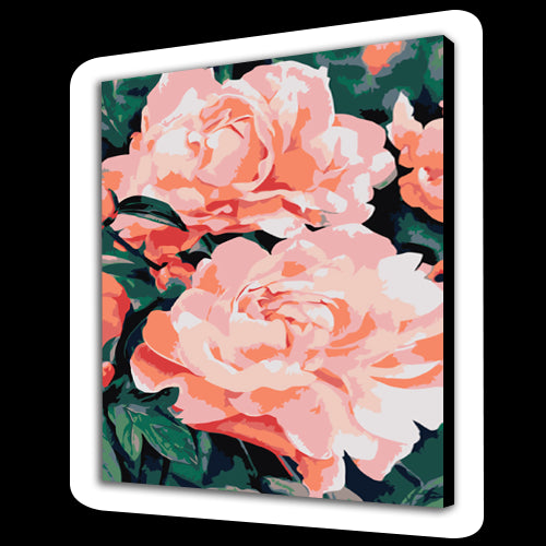 Rosa Tea (6957541097654)