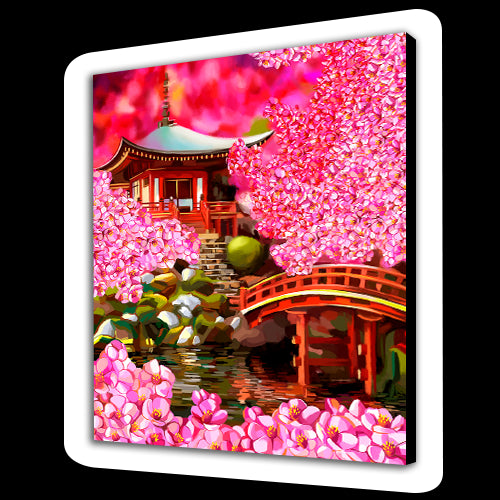 Bellezza asiatica (6957572063414)