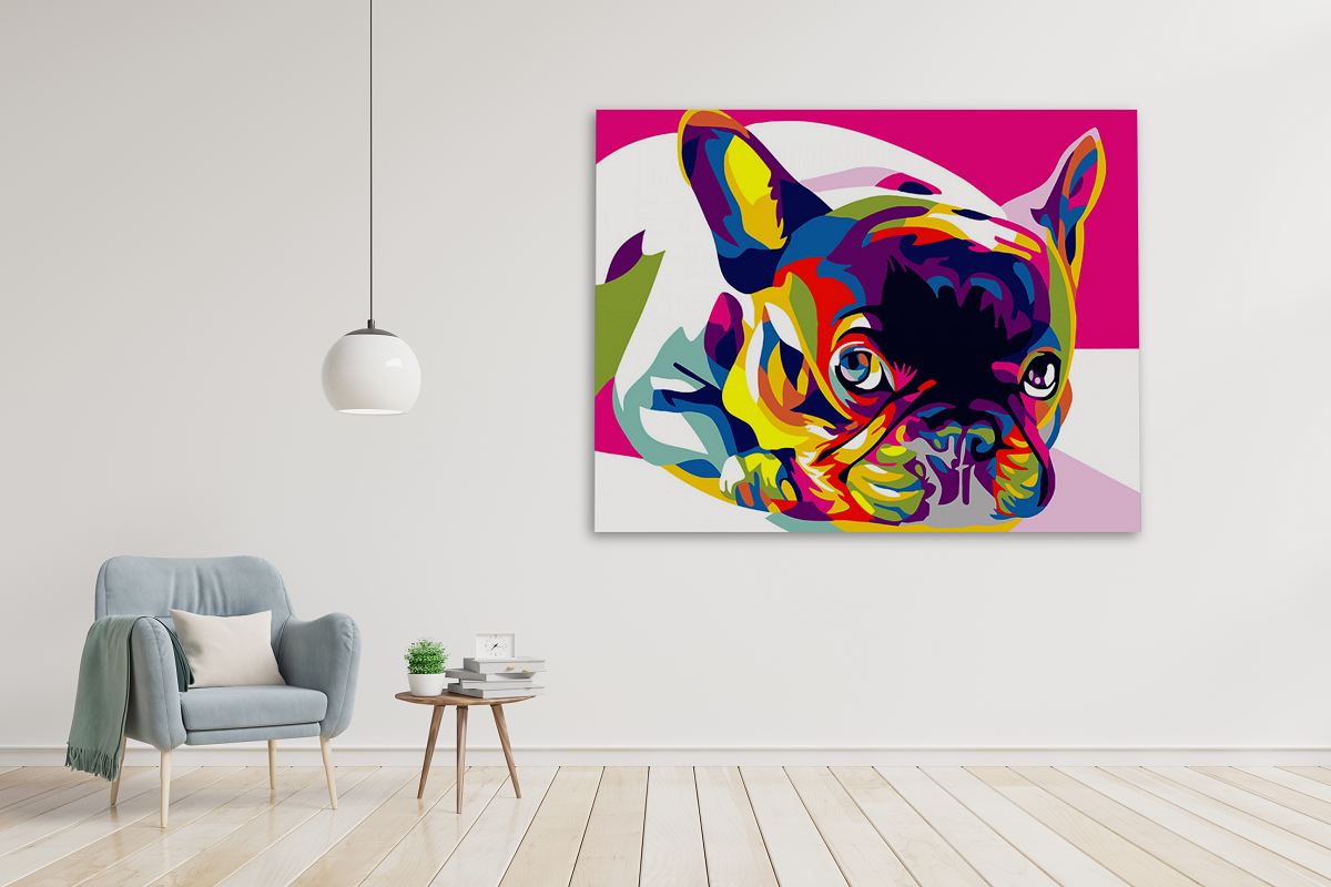 Cane francese colorato (6957461471414)