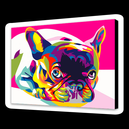 Cane francese colorato (6957461471414)