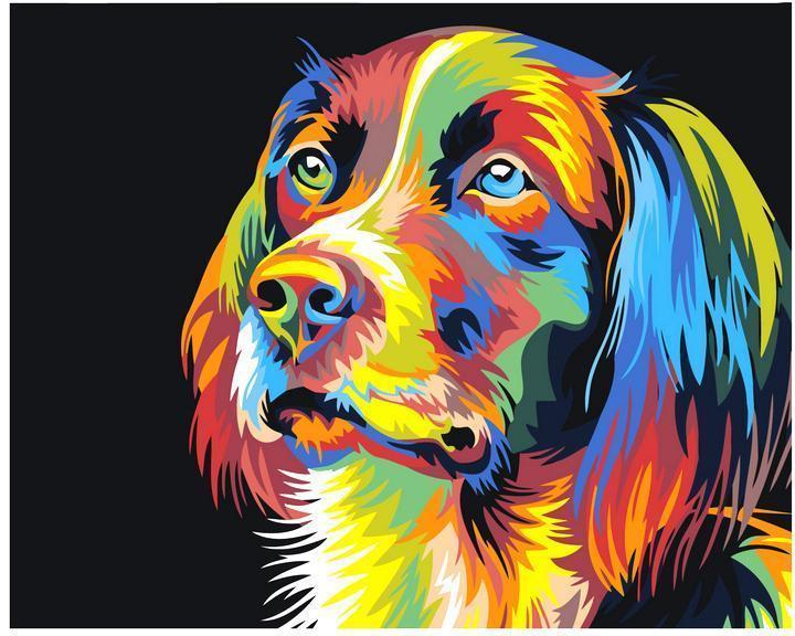 Cane colorato (6957579894966)
