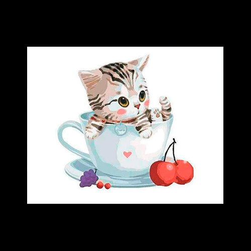 Gattino sorpreso (6957595721910)