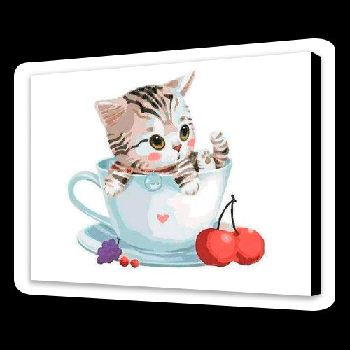 Gattino sorpreso (6957595721910)