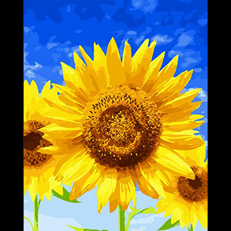 Bel girasole (6957425328310)