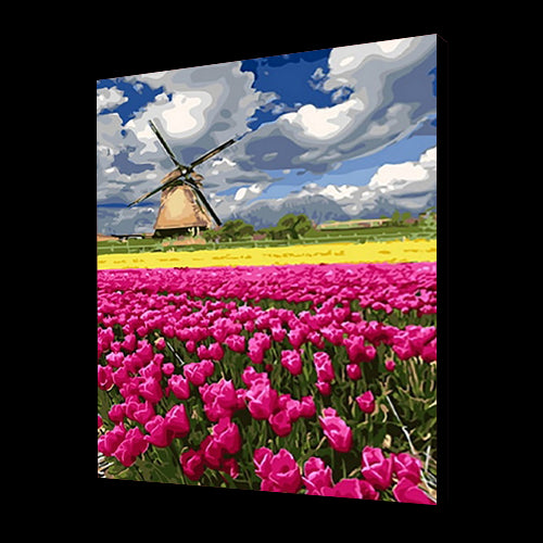 Campo di tulipano rosa (6957427425462)