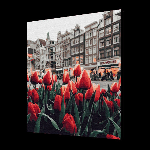 Tulipani Amsterdam (6957427687606)