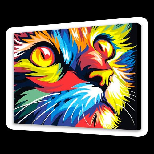 Gatto colorato (6957584875702)
