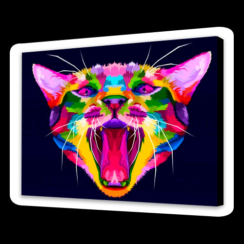 Gatto colorato (6957474971830)