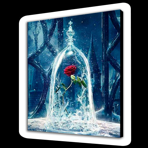 Rosa fredda (6957578617014)