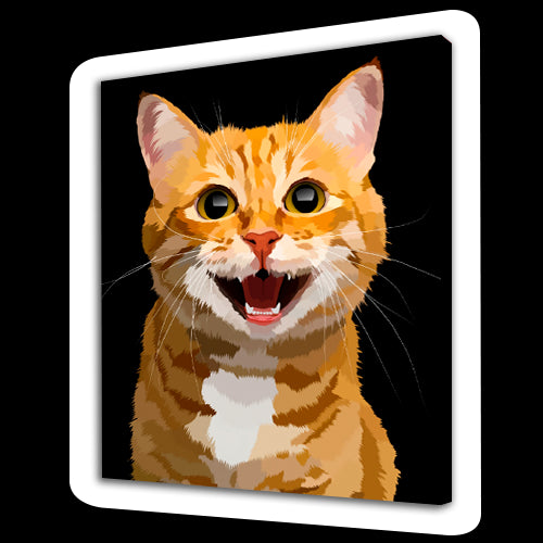 Gatto felice (6957471269046)