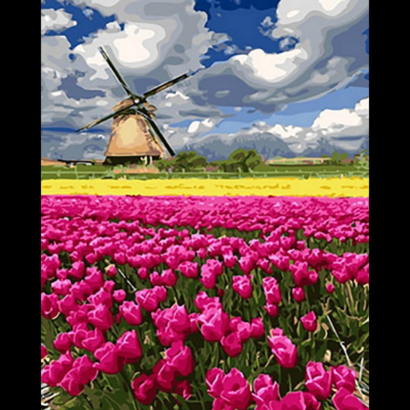 Campo di tulipano rosa (6957427425462)