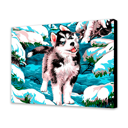 Husky della neve (6957468516534)