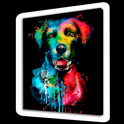 Cane colorato (6957467205814)