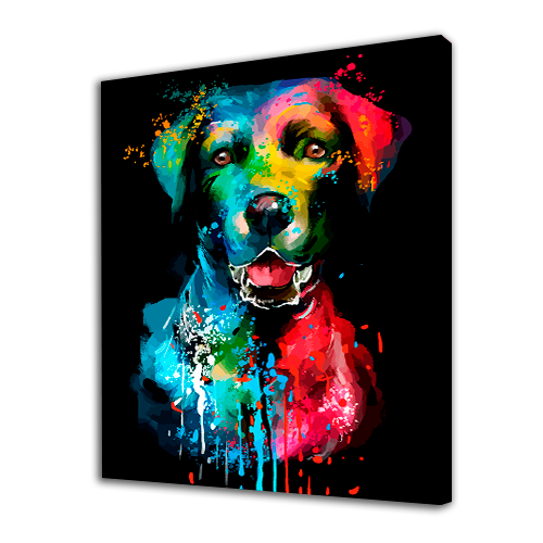 Cane colorato (6957467205814)