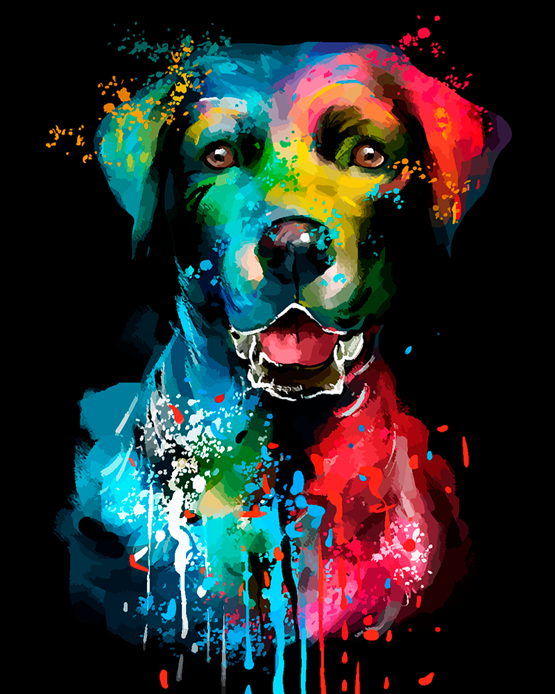 Cane colorato (6957467205814)
