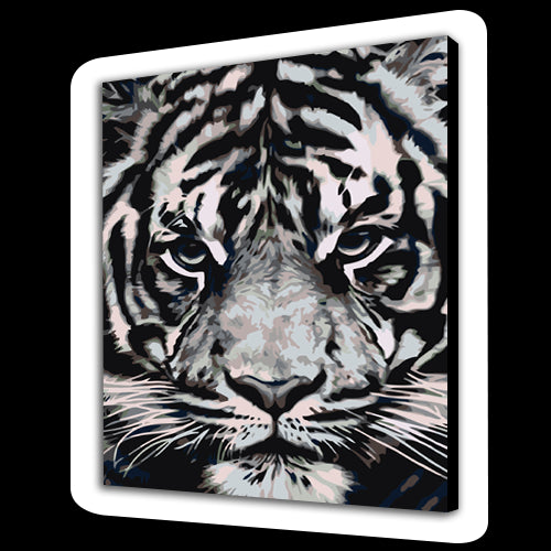 Tigre Bianca (6957537525942)