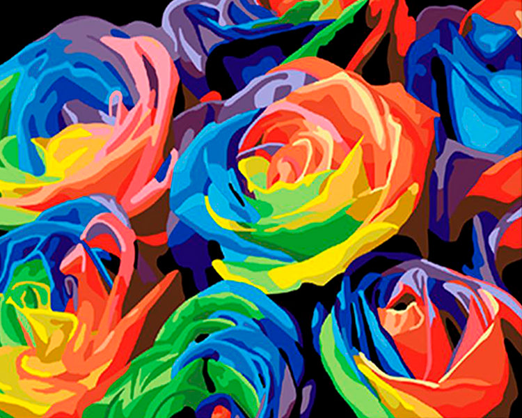 Rose colorate (6957503545526)