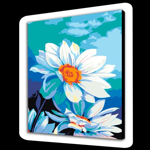 Aster (6957564821686)