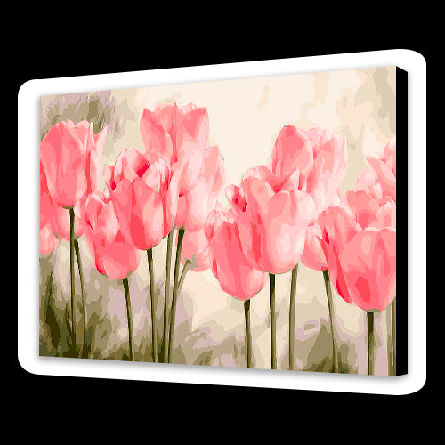 Tulipani rosa (6957500301494)