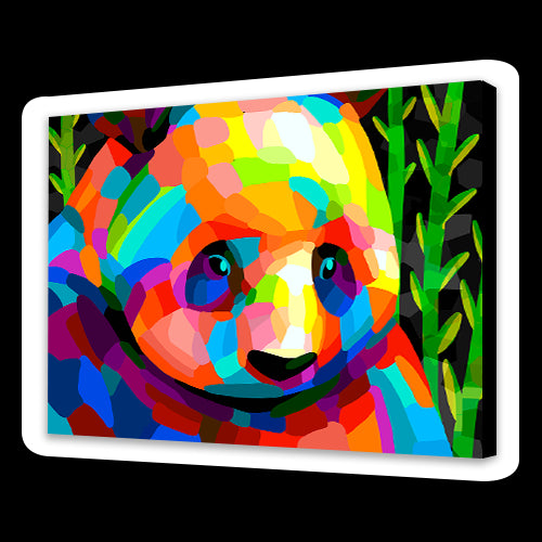 Panda colorato (6957571440822)