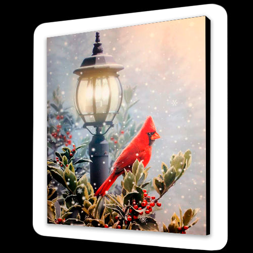 Uccello di Natale (6957522485430)