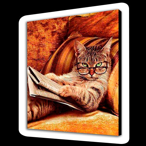 Gatto intelligente (6957595328694)