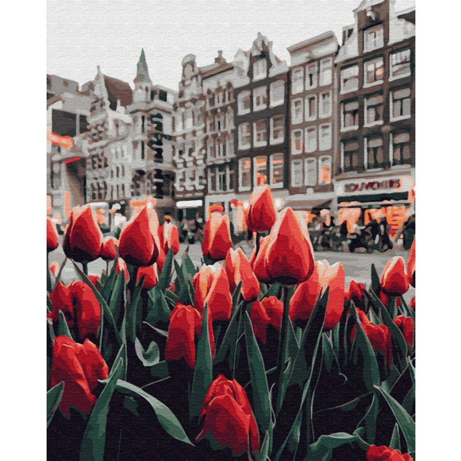 Tulipani Amsterdam (6957427687606)